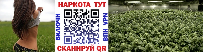 Где можно купить наркотики Егорьевск ГАШ  OMG tor  Меф  Конопля  LSD-25 