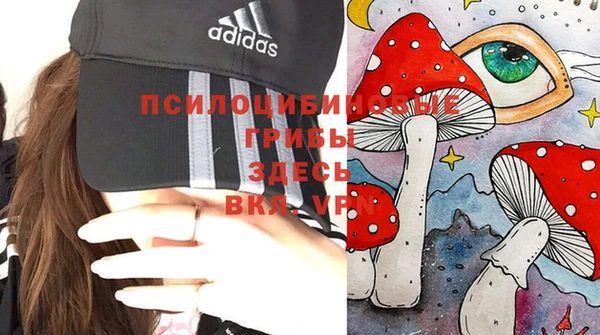 ешки Горнозаводск