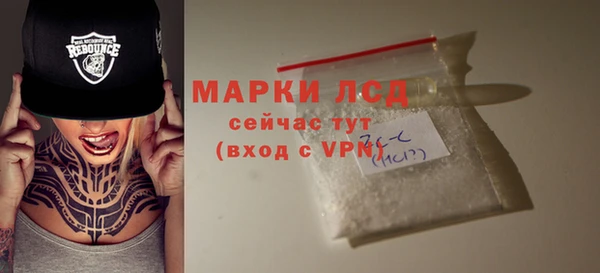 гашик Вяземский