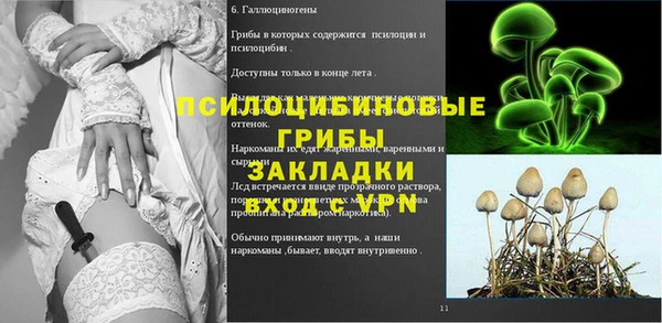 ешки Горнозаводск