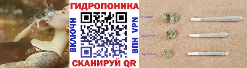 Бошки Шишки ГИДРОПОН  наркота  ссылка на мегу как зайти  Егорьевск 